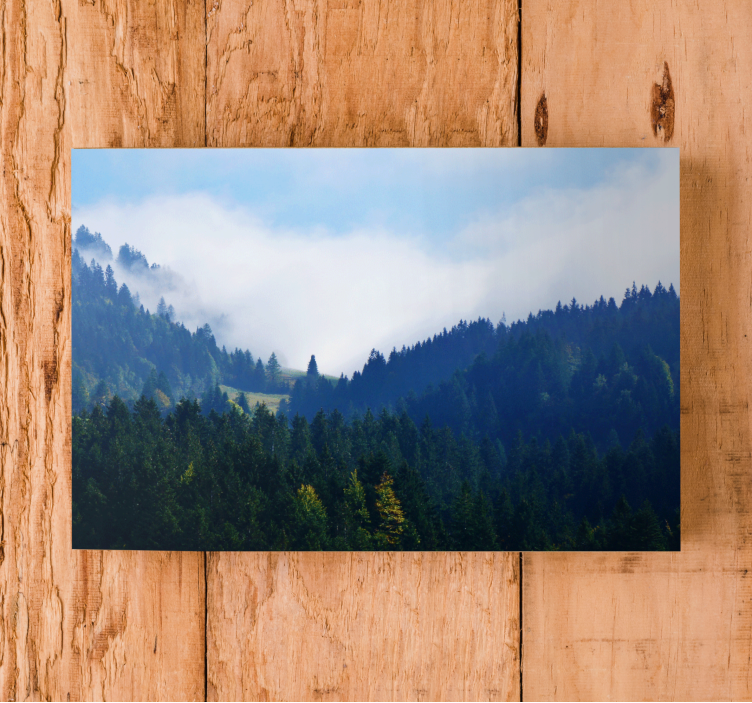 Majestic forest peaks landscape canvas - TenStickers