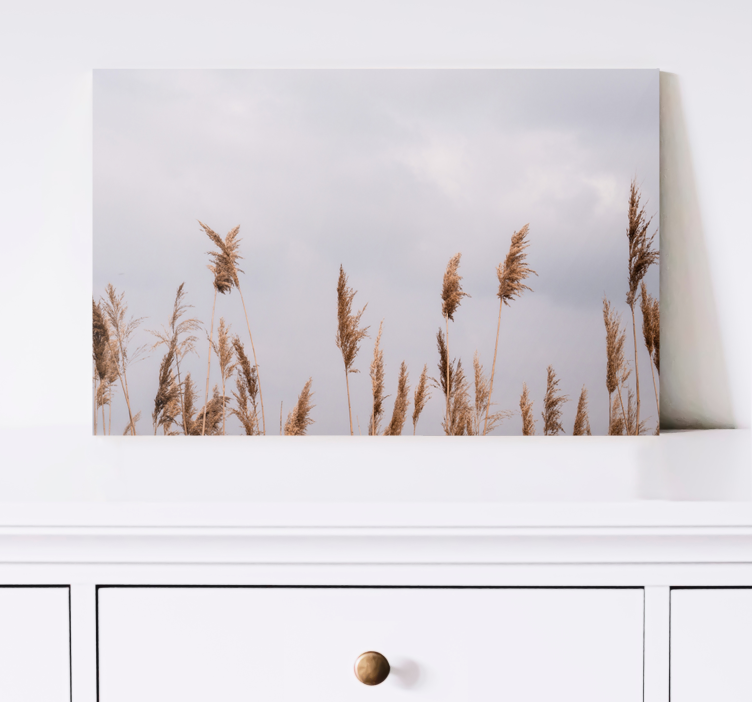 Pampas grass foggy view Plant canvas prints - TenStickers