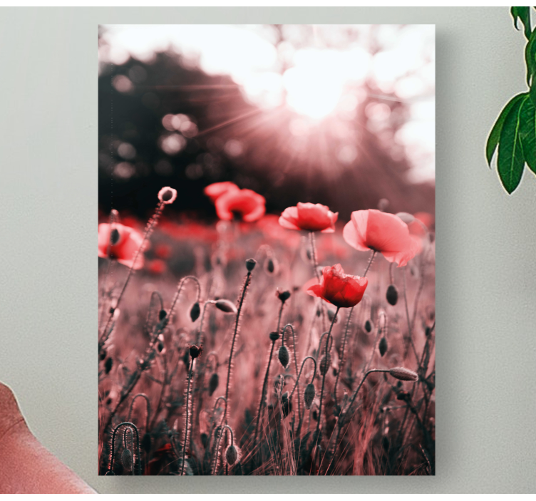 Poppy meadow radiance flowers canvas - TenStickers