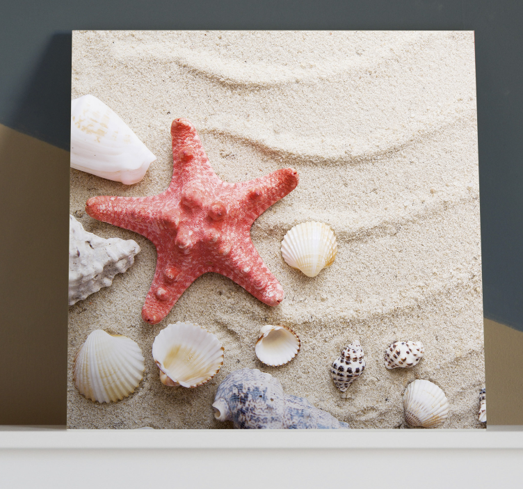 Starfish and shells on sand sea life canvas art - TenStickers