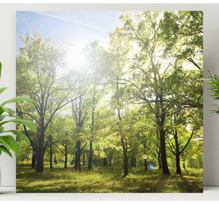 Tree canvas wall art sunlit green canopy - TenStickers