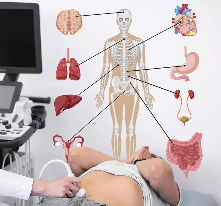 Medical infographics wall decal - TenStickers