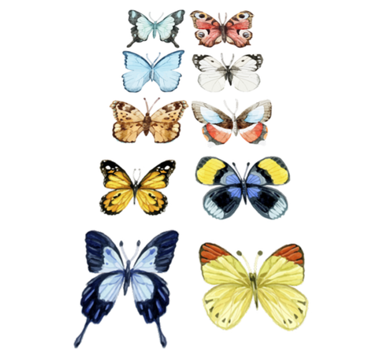 Ten colorful butterflies animal vinyl rug - TenStickers