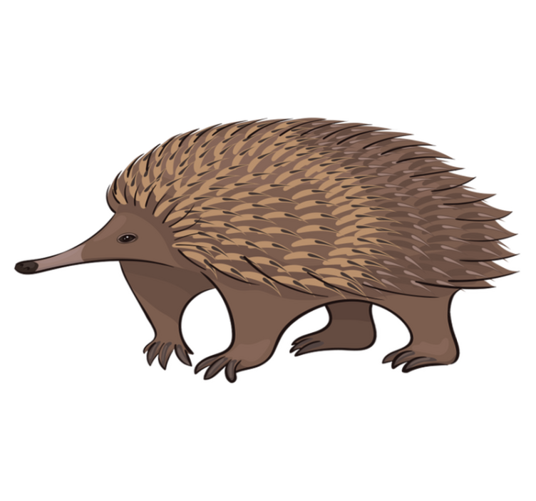 Animal vinyl rug friendly hedgehog design - TenStickers