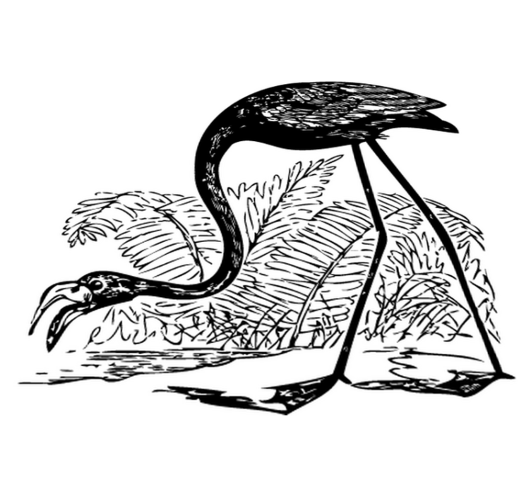 Animal vinyl rug flamingo with ferns - TenStickers