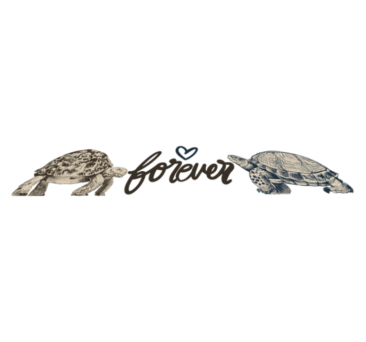 Turtles forever animal vinyl rug - TenStickers
