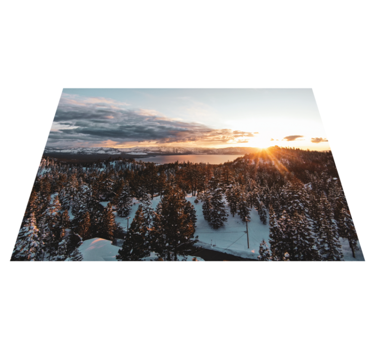 Nature vinyl rug lush forest scene - TenStickers