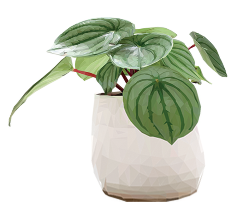 Floral vinyl rug for easy home greenery - TenStickers