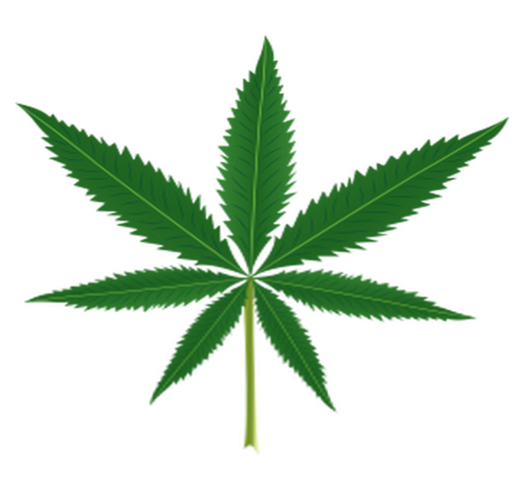 Floral vinyl rug with marijuana leaf design - TenStickers