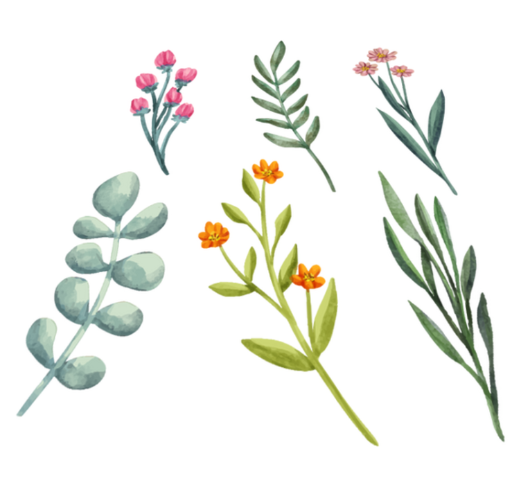 Floral vinyl rug with plant branches design - TenStickers