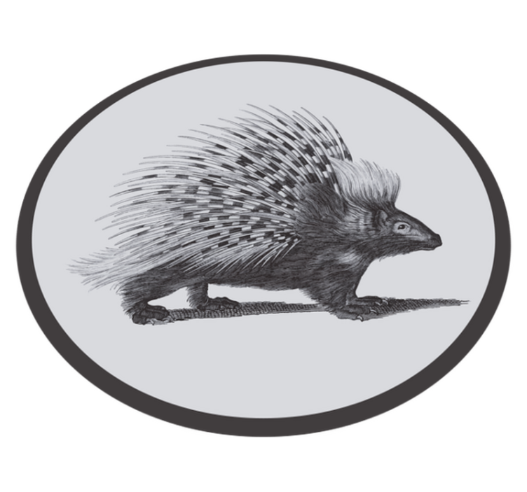 Porcupine Illustration animal vinyl rug - TenStickers