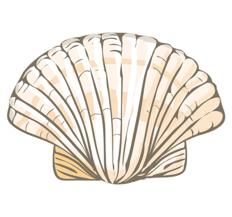 Seashell Illustration animal vinyl rug - TenStickers