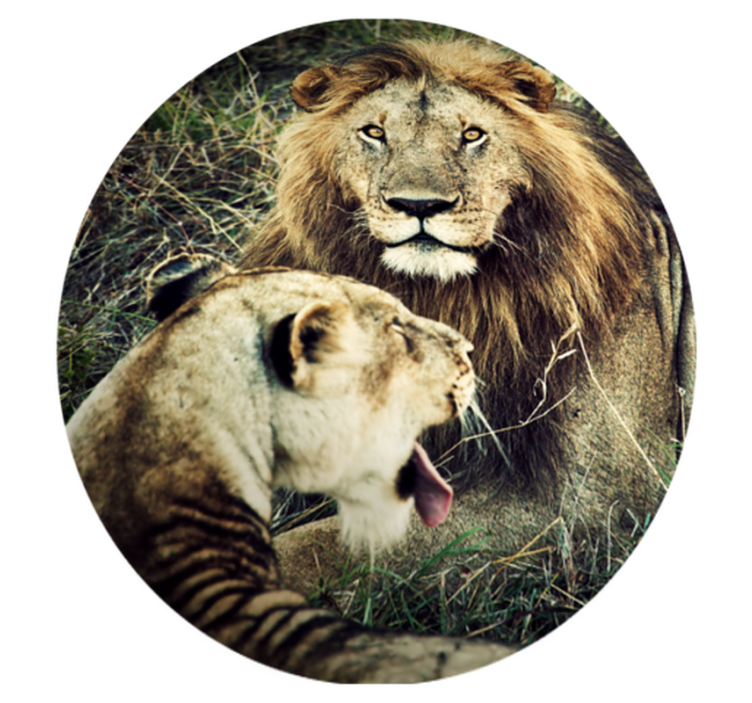 Majestic lion pair animal vinyl rug - TenStickers