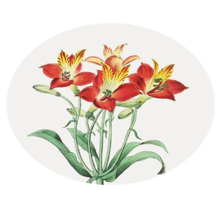 Lively Red Blossoms floral vinyl rug - TenStickers