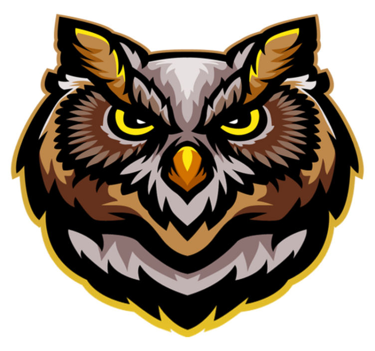 Owl Face Art animal vinyl rug - TenStickers