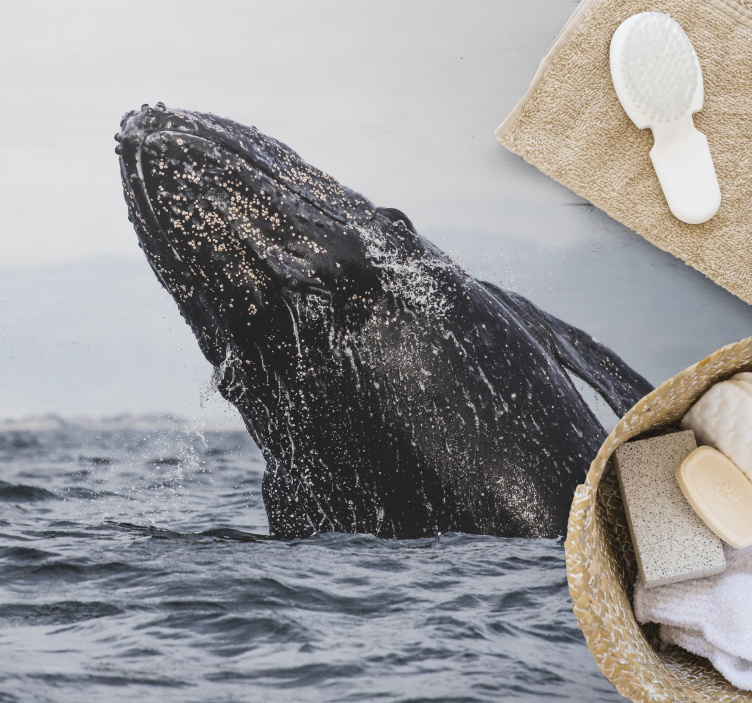 Animal whale in the sea animal rug - TenStickers