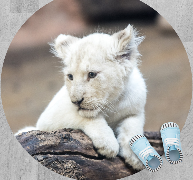 White lion cub animal vinyl rug - TenStickers