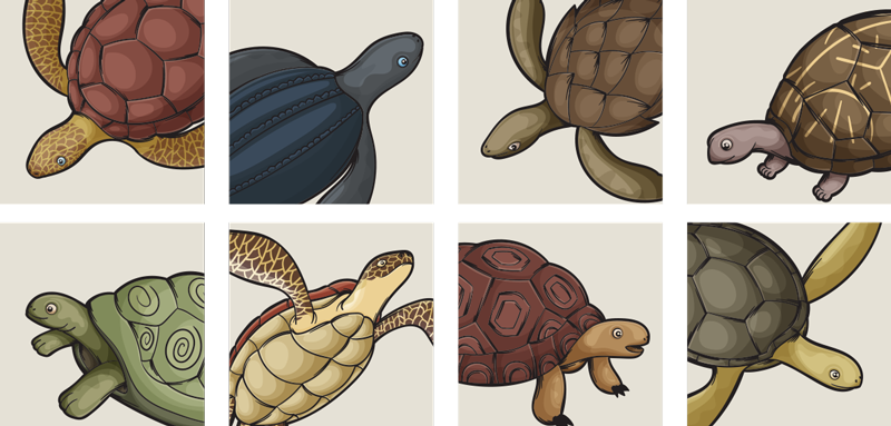 Animal vinyl rug variety of turtle designs - TenStickers
