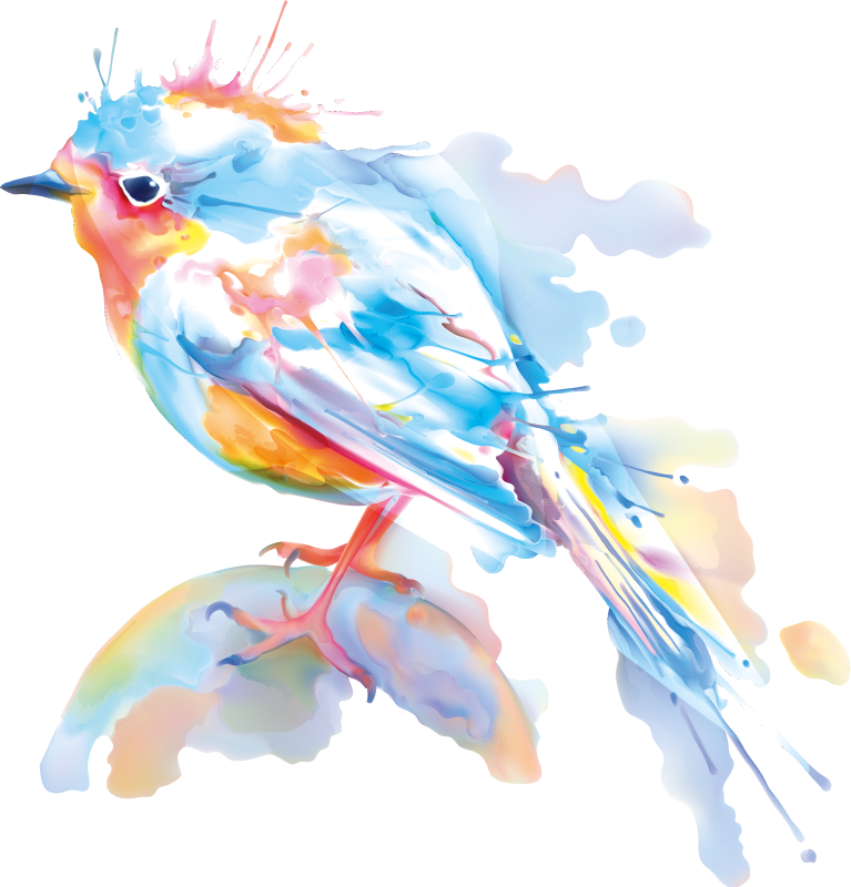 Bird splash animal vinyl rug - TenStickers