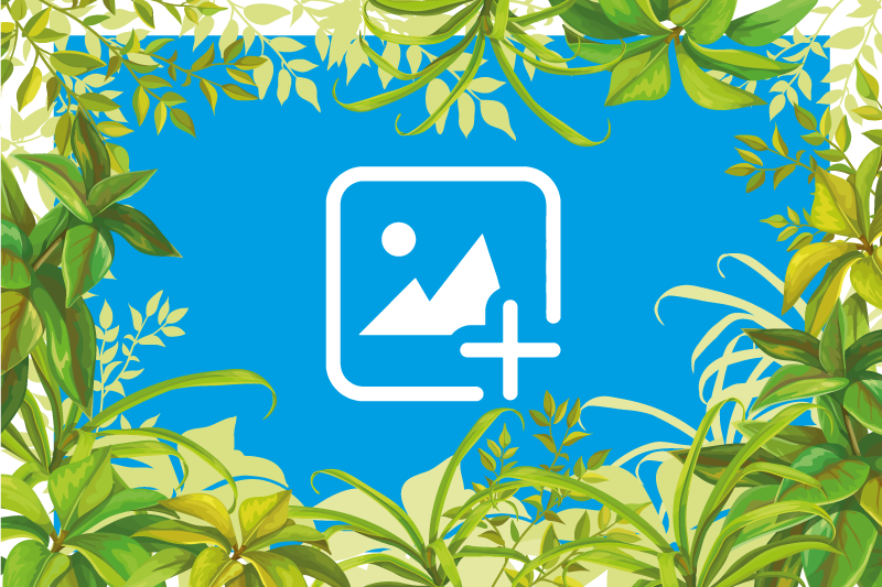 Animal vinyl rug cat among greenery - TenStickers