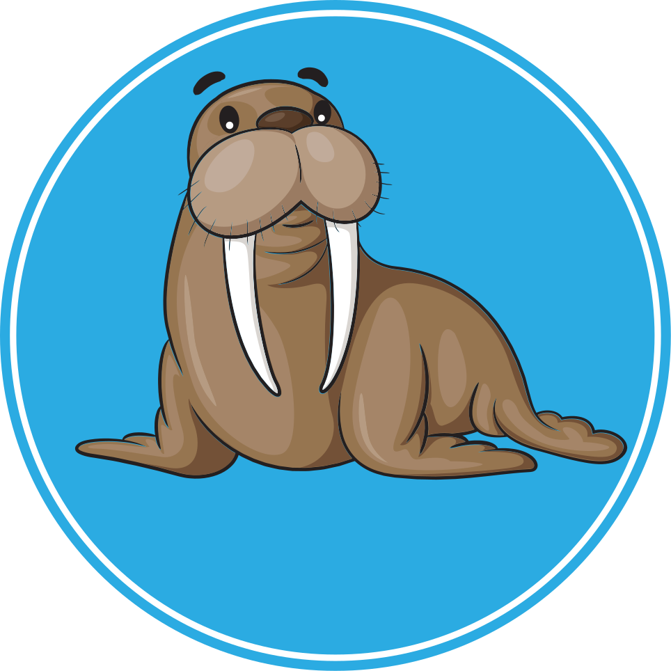 Animal vinyl rug cute walrus design - TenStickers