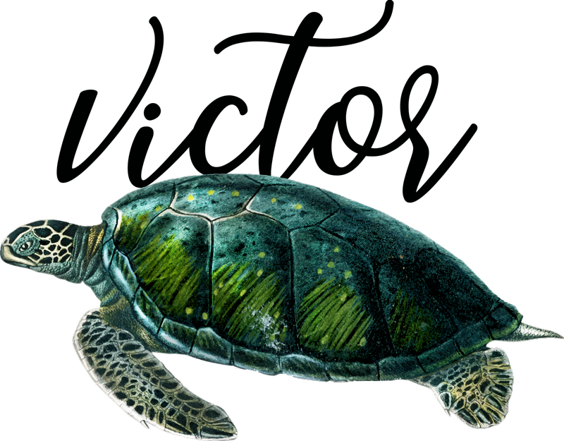 Animal vinyl rug customizable turtle design - TenStickers