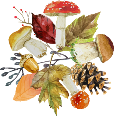 Floral vinyl rug with autumn elements - TenStickers