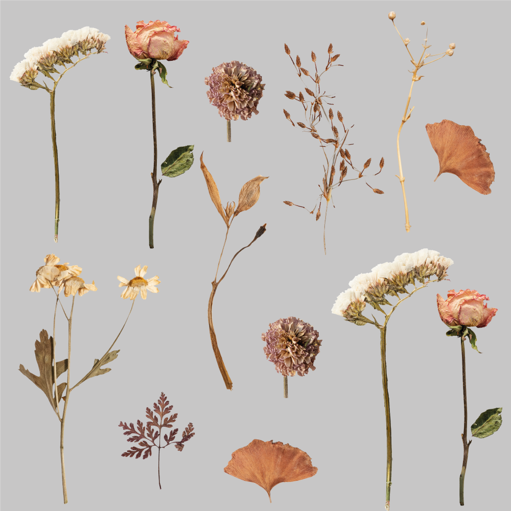 Flower rug with dried flower leaf design - TenStickers