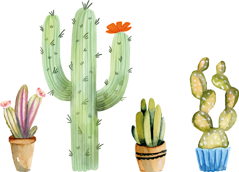 Dining room vinyl rug with assorted cacti - TenStickers