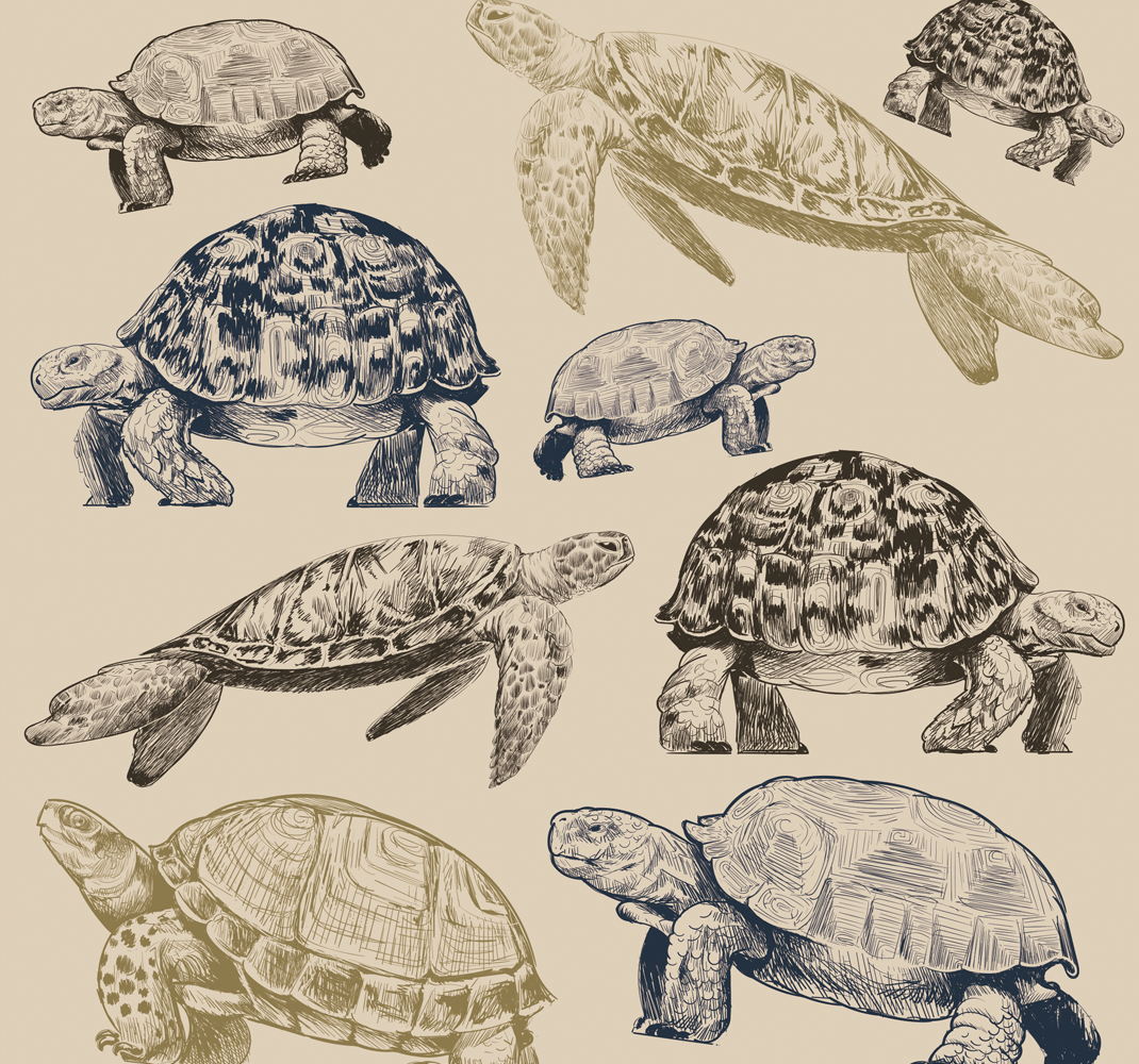 Bedroom vinyl rug with turtles on a beige background - TenStickers