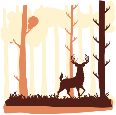 Nature vinyl rug forest and deer illustration - TenStickers