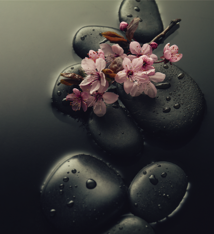 Nature vinyl rug for a zen stone bathroom - TenStickers