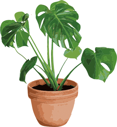 Floral vinyl rug simple monstera pot - TenStickers