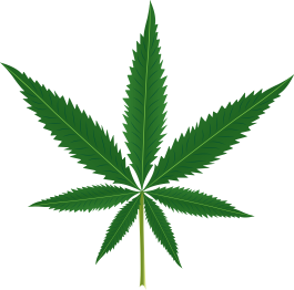 Floral vinyl rug with marijuana leaf design - TenStickers
