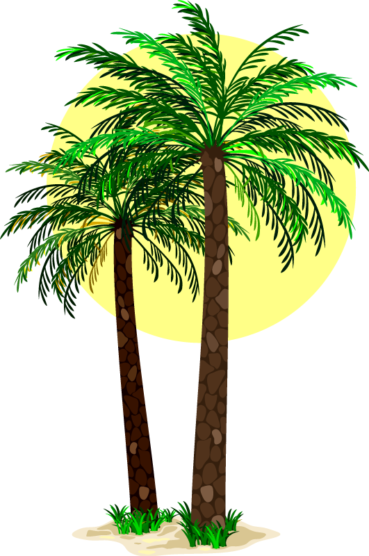 Tropical palm trees floral vinyl rug - TenStickers