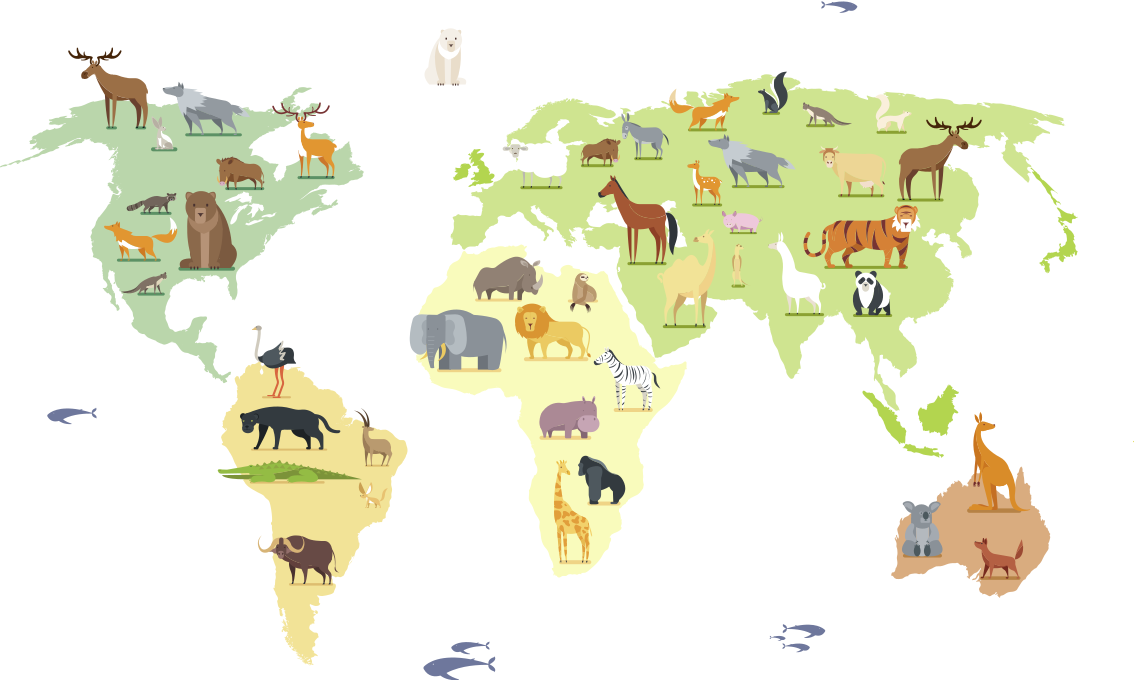 Colorful animals of the world bedroom vinyl rug - TenStickers