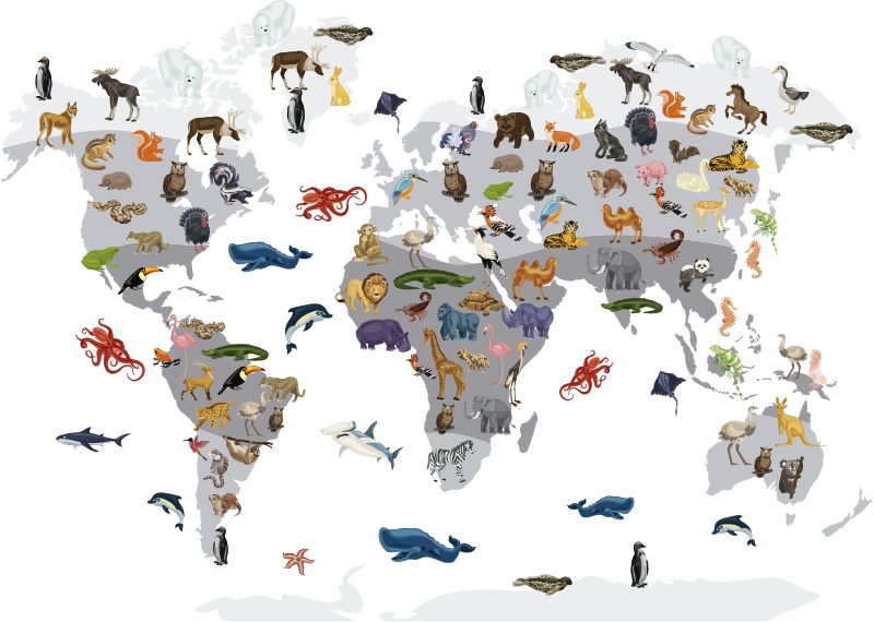 Nordic style world map vinyl rug - TenStickers