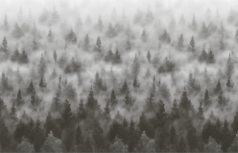 3d foggy mysterious mountain bedroom vinyl rug - TenStickers