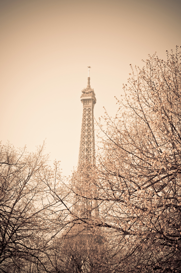 Bedroom vinyl rug eiffel tower trees design - TenStickers