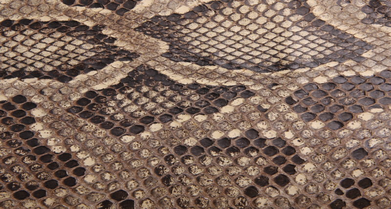 Snakeskin Print living room rug - TenStickers