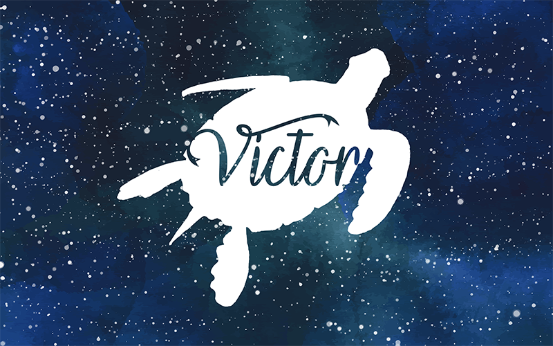Starry Sea Turtle custom vinyl rug - TenStickers