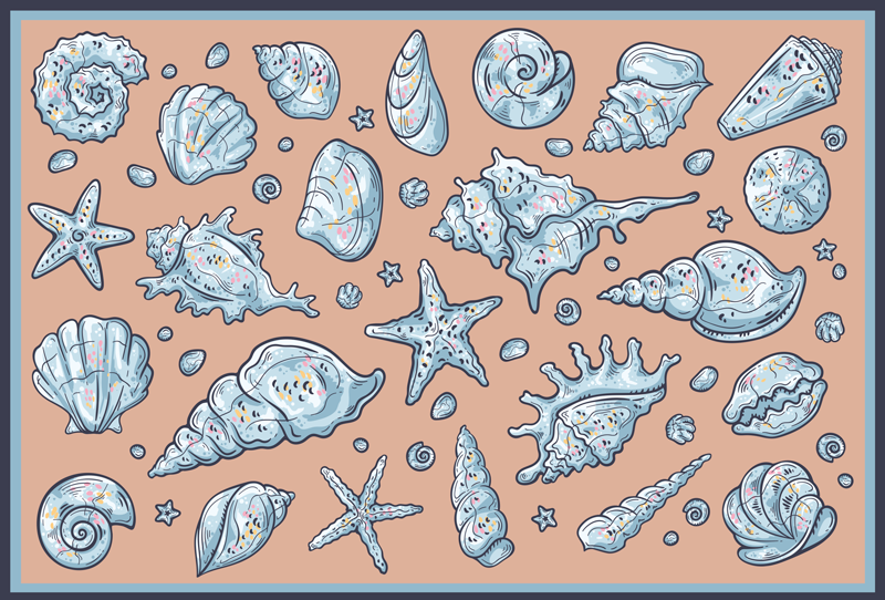 Seashell Illustrations nature vinyl rug - TenStickers