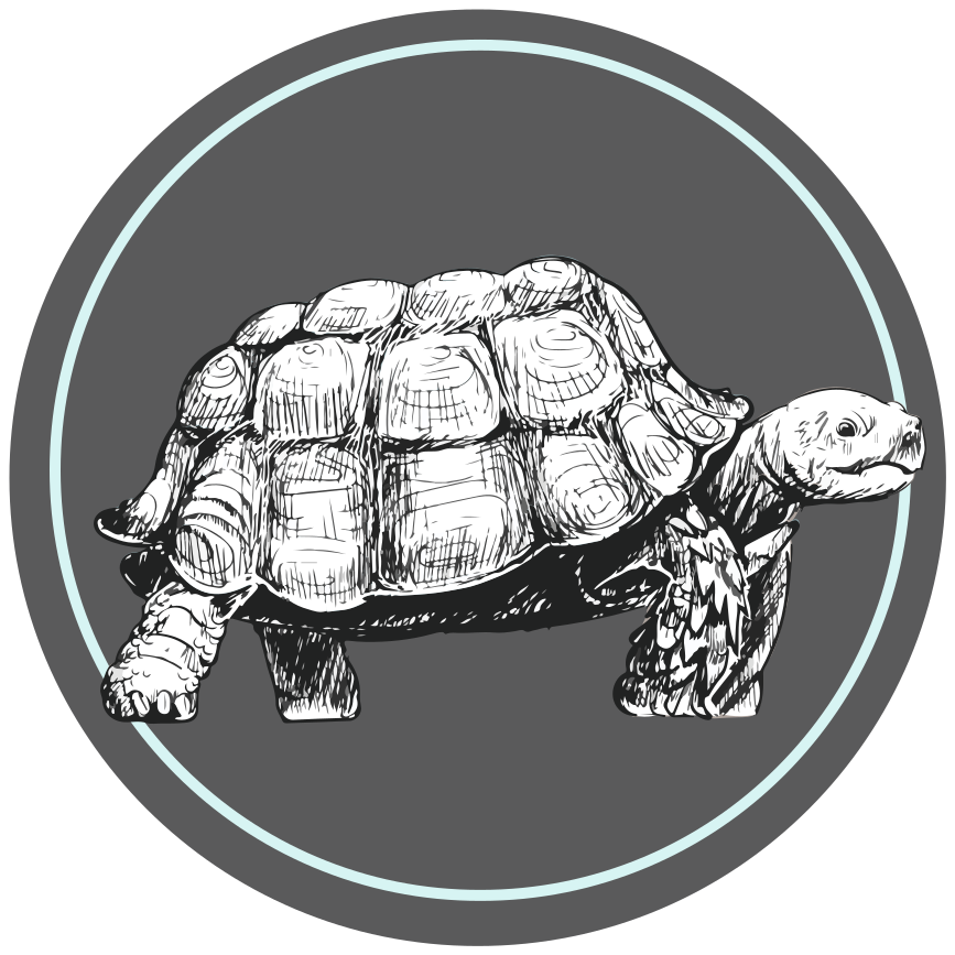 Illustrated Tortoise animal vinyl rug - TenStickers