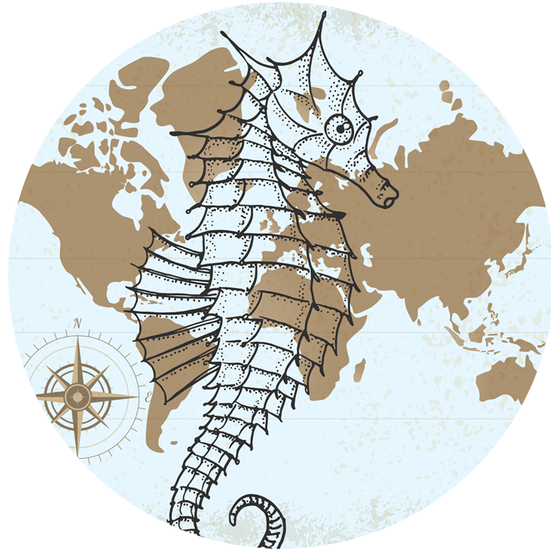 Seahorse Nautical Map animal vinyl rug - TenStickers