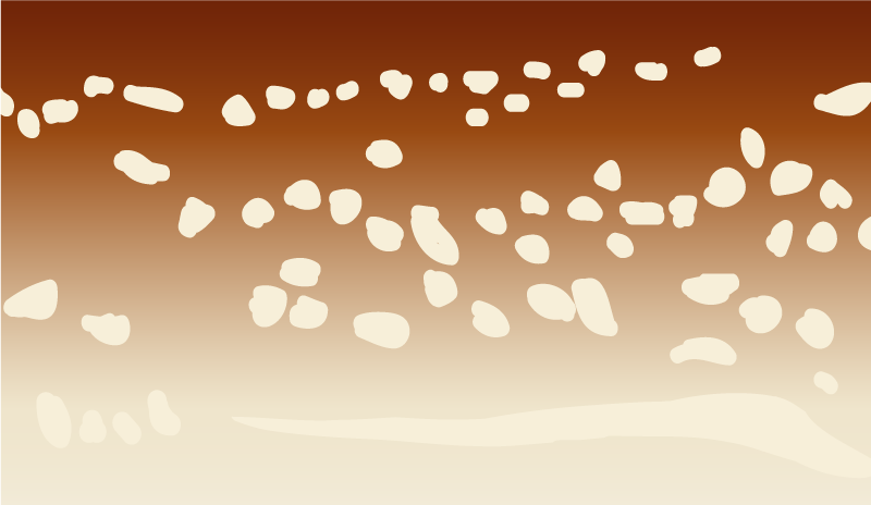 Brown walkway stone effect vinyl rug - TenStickers