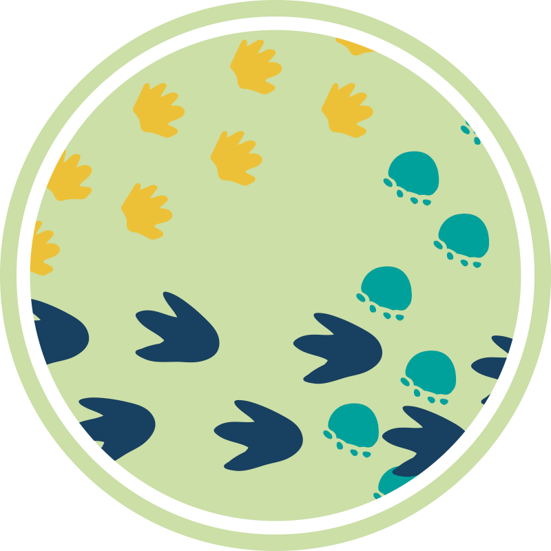 Dinosaur footprints design kids vinyl rug - TenStickers