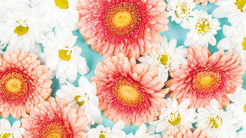Vibrant blossom floral vinyl rug - TenStickers