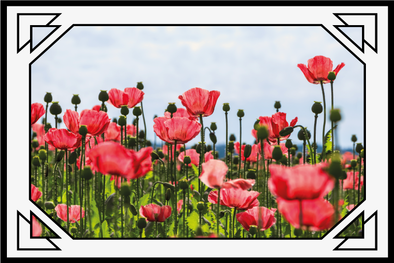 Colorful poppy field floral vinyl rug - TenStickers