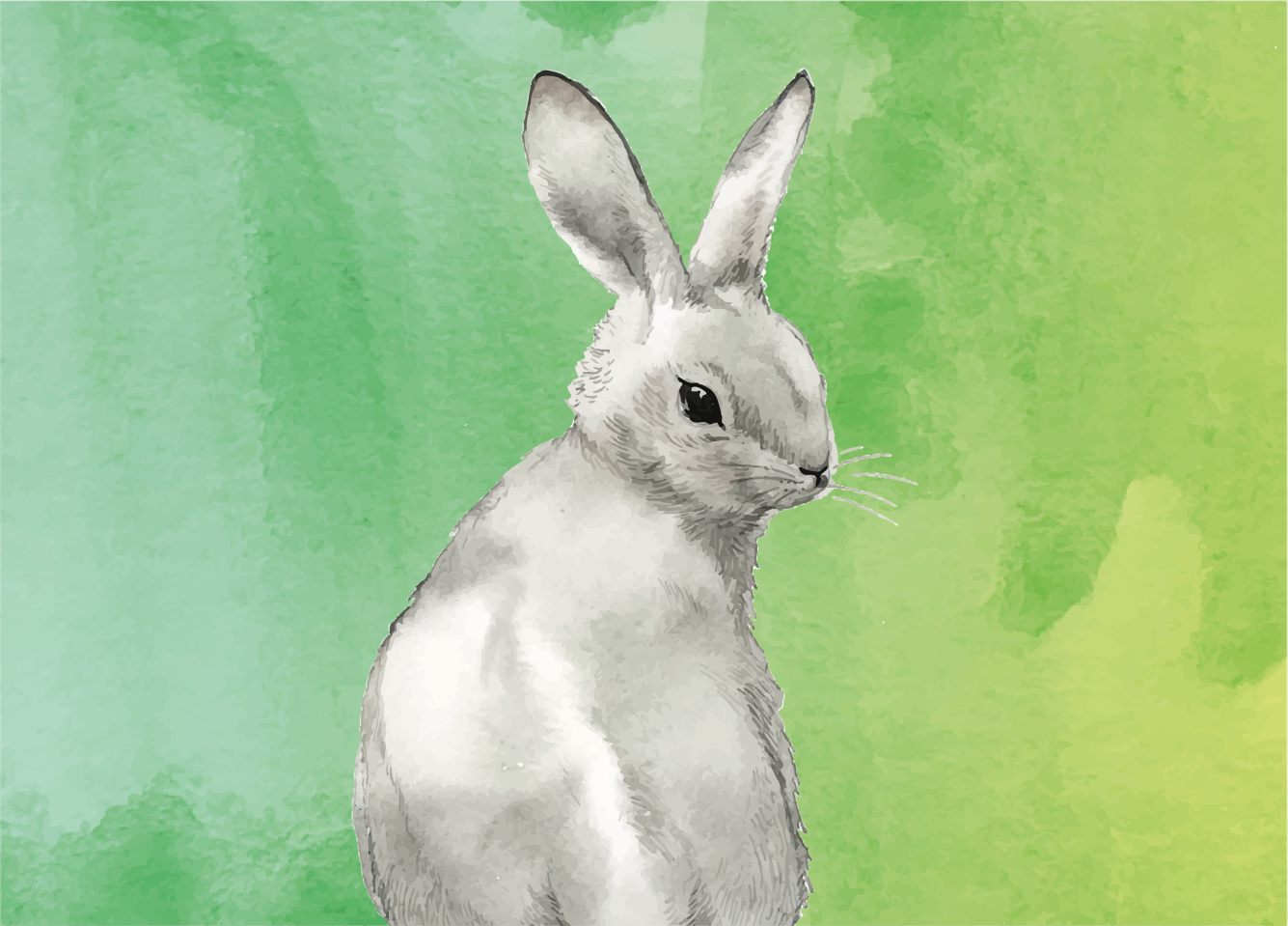 Rabbit on green background  animal rug - TenStickers