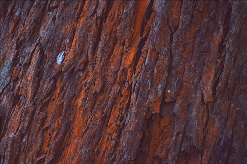 Rustic bark wood effect vinyl rug - TenStickers